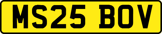 MS25BOV