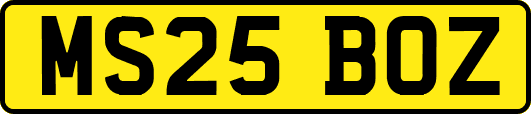 MS25BOZ