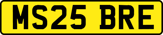 MS25BRE