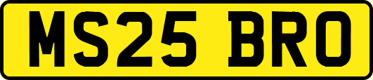 MS25BRO