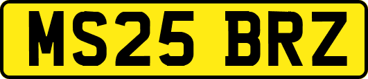 MS25BRZ