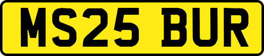 MS25BUR