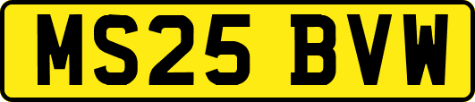 MS25BVW