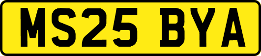 MS25BYA