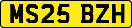 MS25BZH