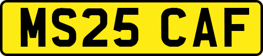 MS25CAF