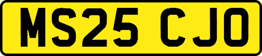 MS25CJO