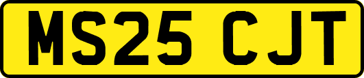 MS25CJT