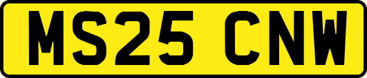 MS25CNW