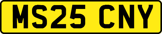 MS25CNY
