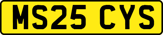 MS25CYS