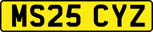 MS25CYZ