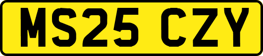 MS25CZY