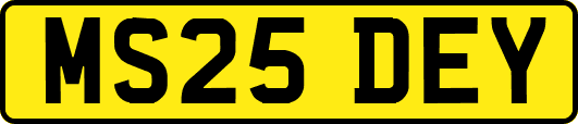 MS25DEY