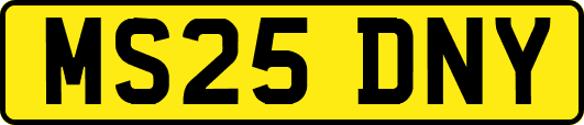 MS25DNY