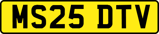 MS25DTV