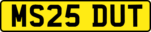 MS25DUT