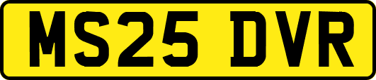 MS25DVR