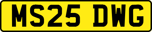 MS25DWG