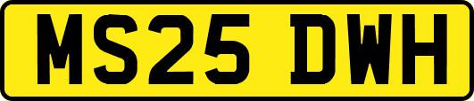 MS25DWH