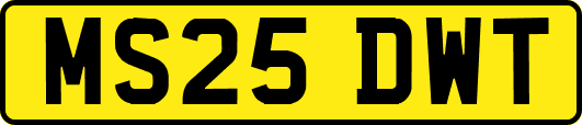 MS25DWT