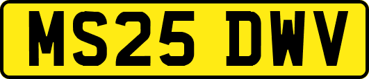 MS25DWV
