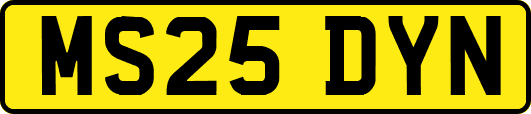 MS25DYN