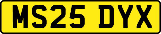 MS25DYX