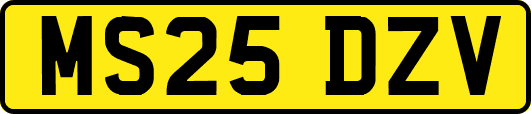 MS25DZV