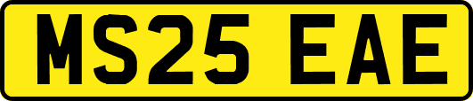 MS25EAE