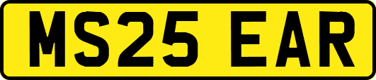 MS25EAR