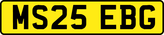 MS25EBG