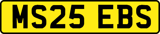 MS25EBS