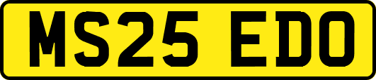 MS25EDO