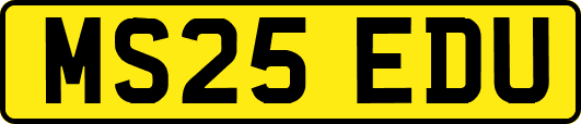 MS25EDU