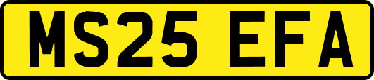 MS25EFA