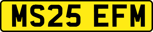 MS25EFM