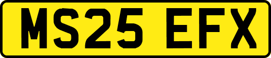 MS25EFX