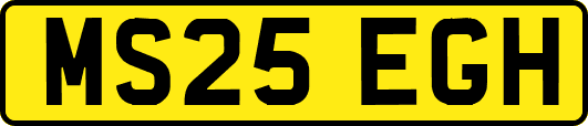 MS25EGH