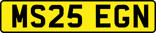 MS25EGN