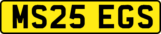 MS25EGS