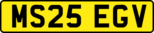 MS25EGV