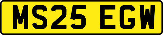 MS25EGW