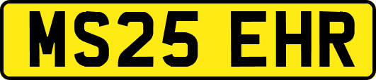MS25EHR