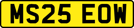 MS25EOW