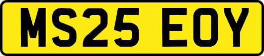 MS25EOY