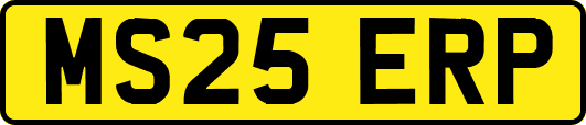 MS25ERP