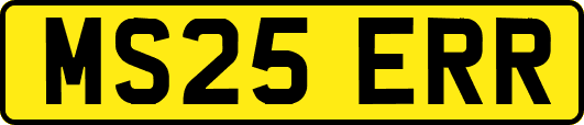 MS25ERR