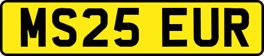 MS25EUR