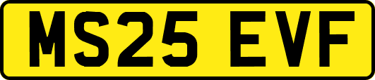 MS25EVF